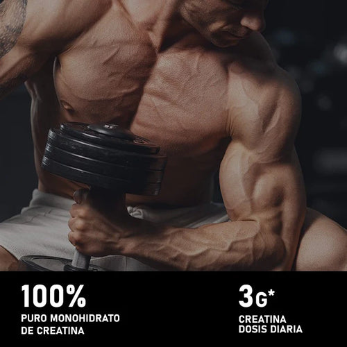 King Nutrition 2 unidades 100% creatina monohidrato 200 g sin sabor malla 200 en total 400 g
