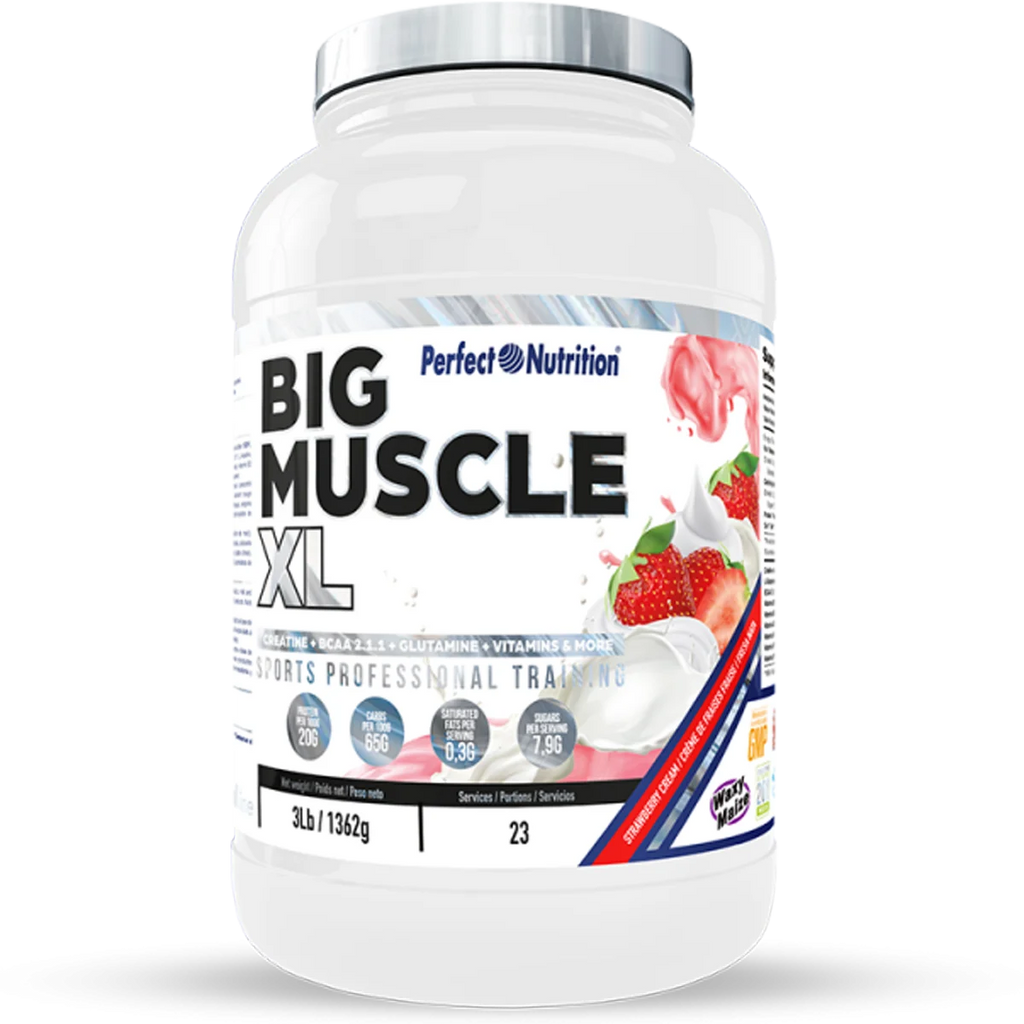 Nutrición perfecta - gran músculo XL - 1326 g